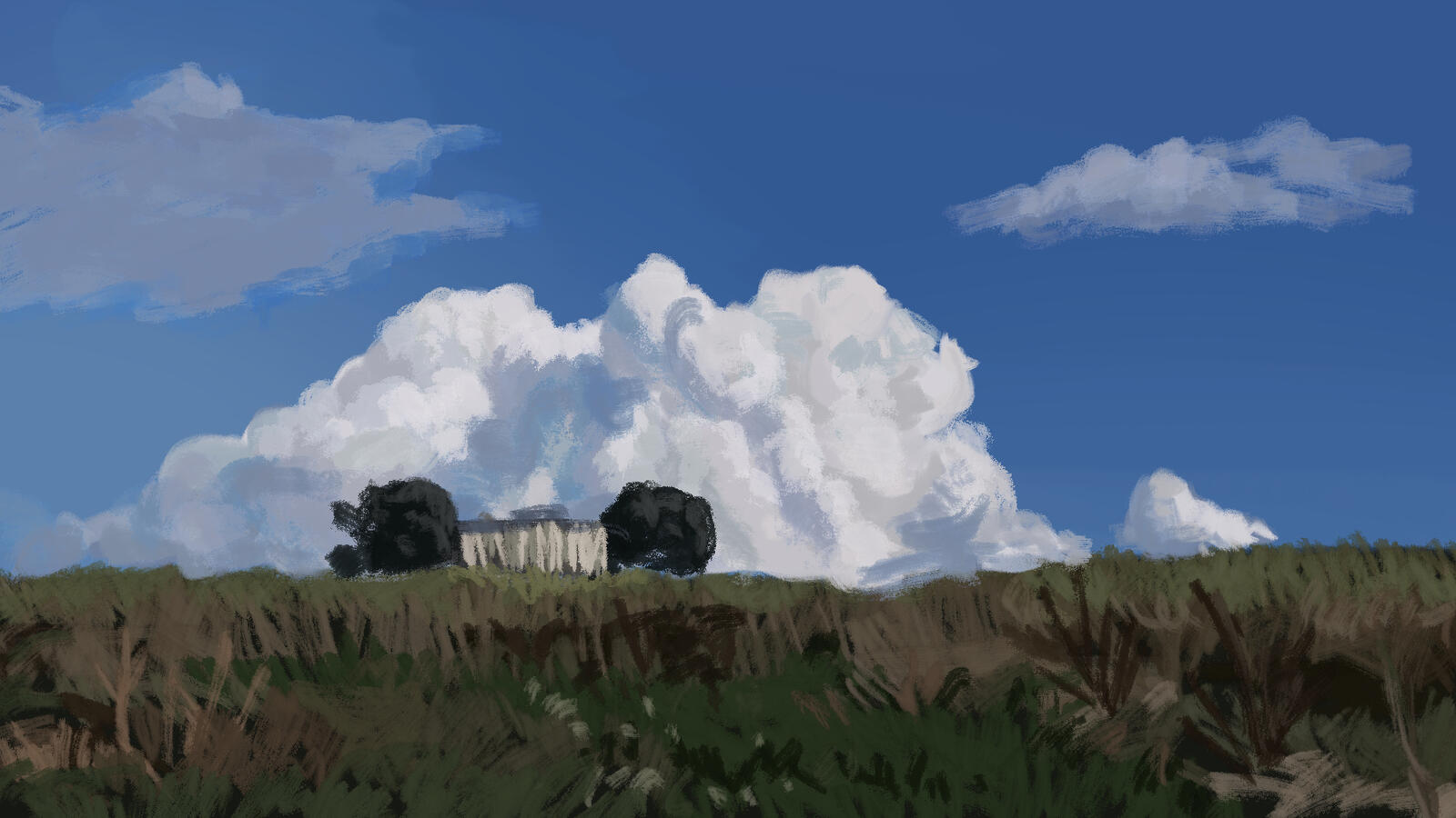 Study 6